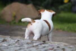 IMG 4269
